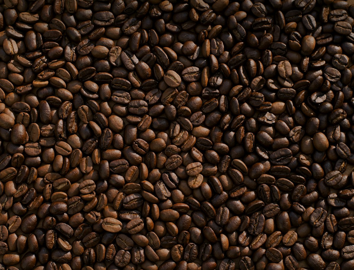 Roasted coffee beans on a tray